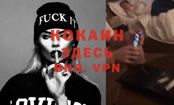 сатива Верея