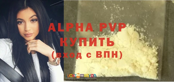 сатива Верея