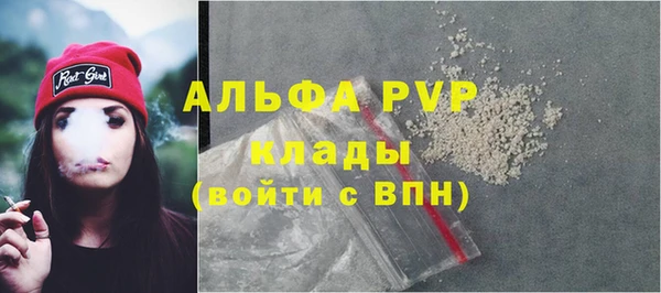 сатива Верея