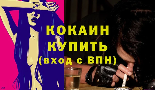 сатива Верея