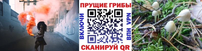 Галлюциногенные грибы ЛСД  Новоузенск 